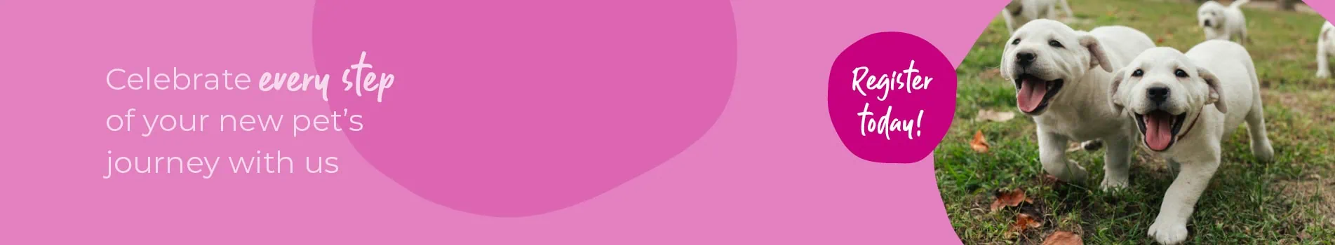 Welcoming your new puppy or kitten