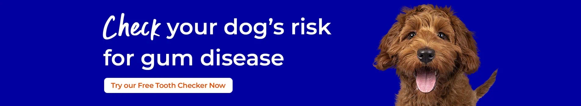 Dental Health for your pet