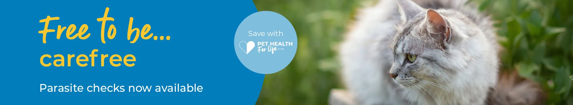 Diagnosing and treating parasites in your pet