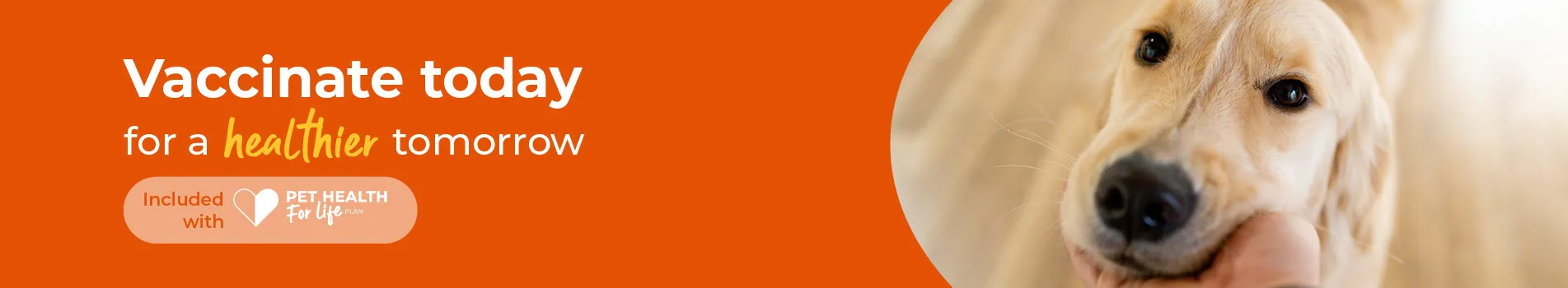 Vaccinations at Chapel House Vets in Chesterfield